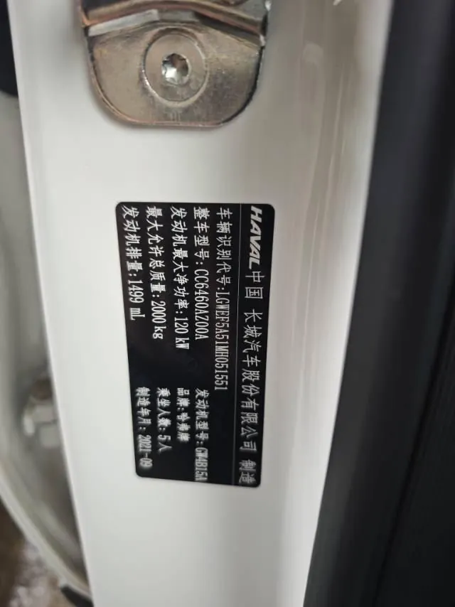 Haval 2021 Big Dogs 1.5T Border Animal Husbandry Wangcai Edition Automatic Gear 7