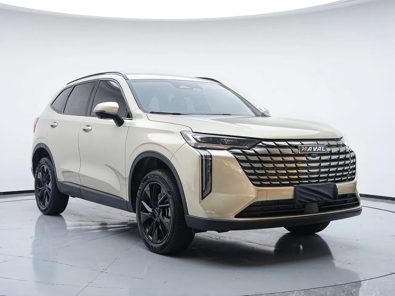 Haval 2024 H6 1.5T Two-Drive Ultra Auto 2