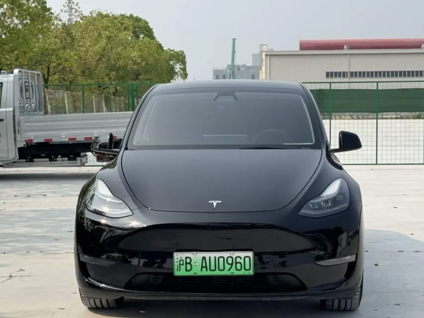 Tesla 2021 Model Y Standard Endurance Rear Drive Automatic Gear 2