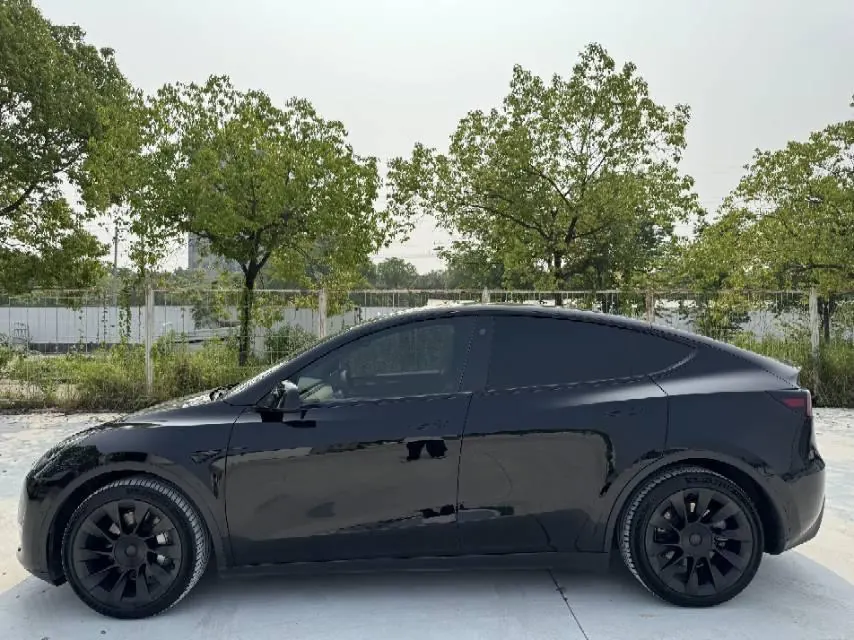 Tesla 2021 Model Y Standard Endurance Rear Drive Automatic Gear 3