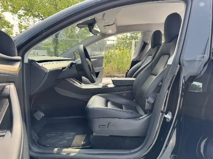 Tesla 2021 Model Y Standard Endurance Rear Drive Automatic Gear 4