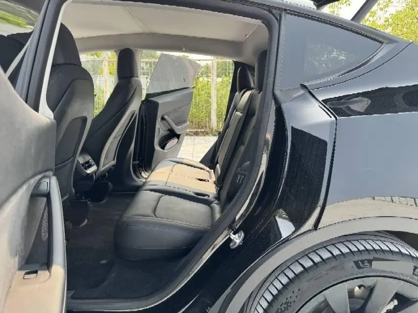Tesla 2021 Model Y Standard Endurance Rear Drive Automatic Gear 6