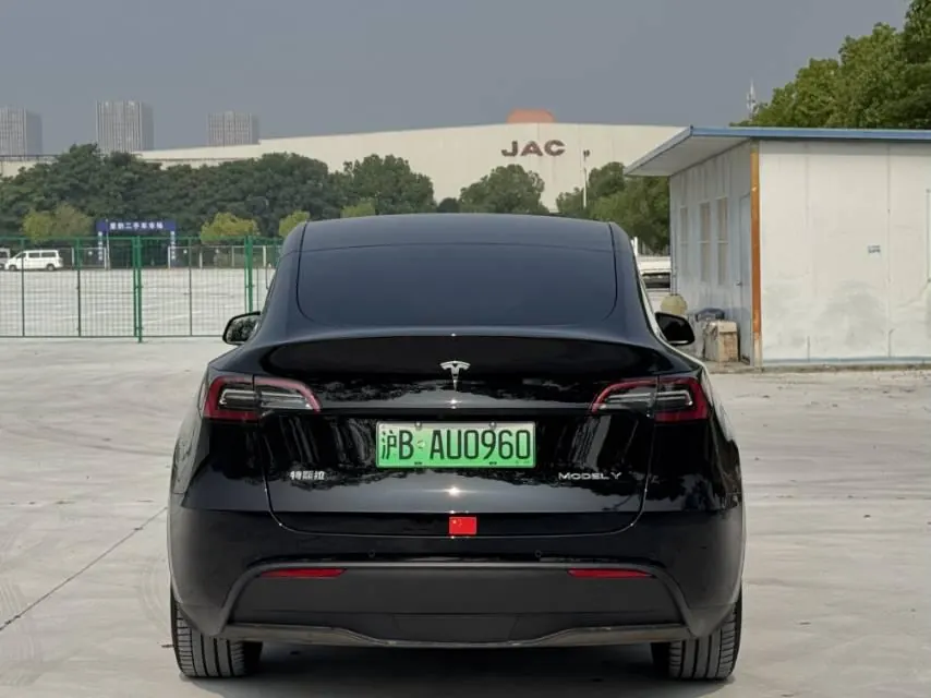 Tesla 2021 Model Y Standard Endurance Rear Drive Automatic Gear 8