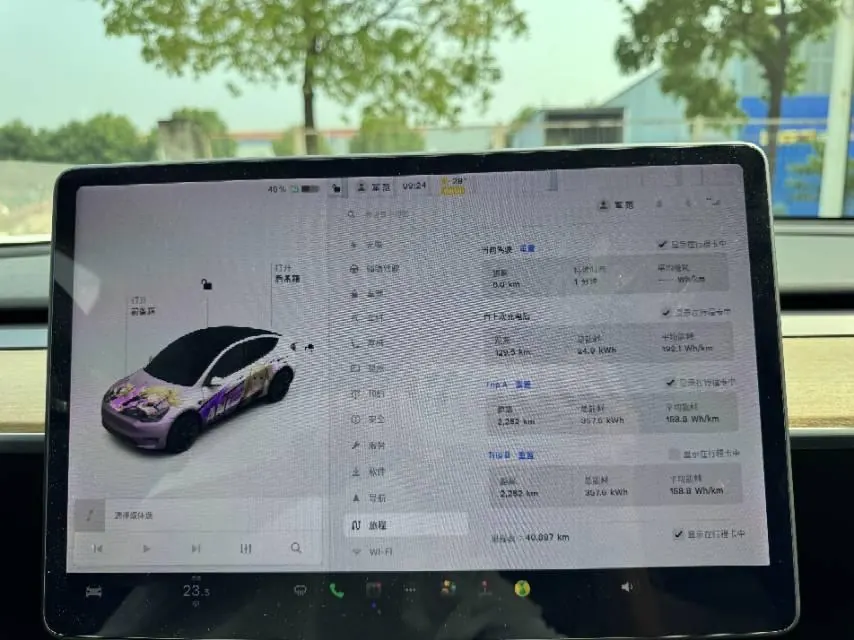 Tesla 2021 Model Y Standard Endurance Rear Drive Automatic Gear 9