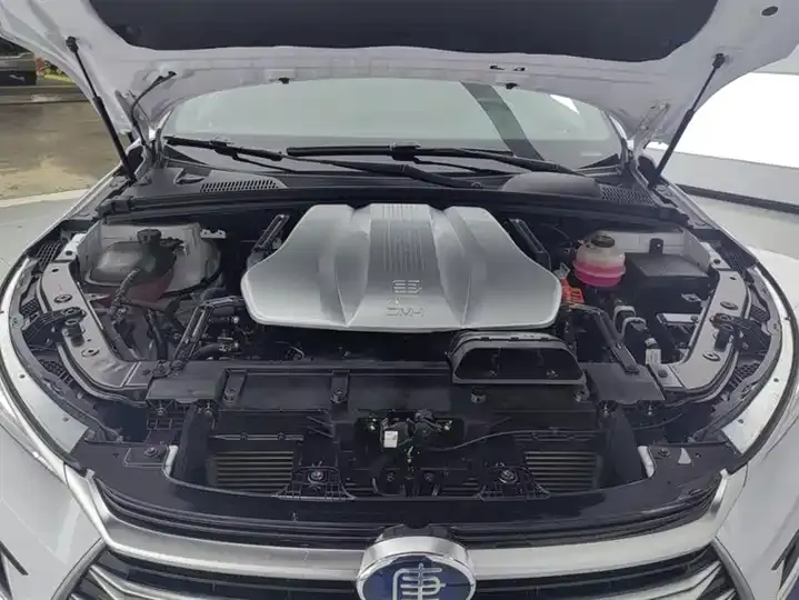 Tang New Energy 2021 DM-i 112KM Honorable Model 10