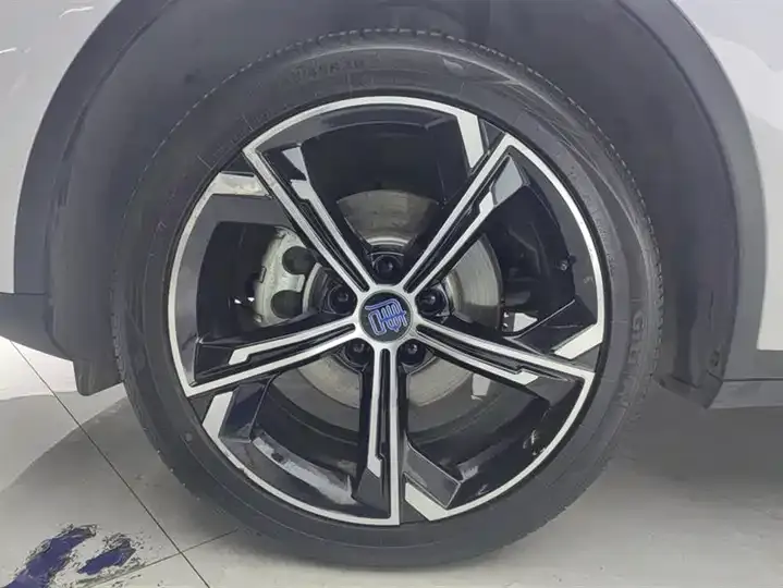 Tang New Energy 2021 DM-i 112KM Honorable Model 6