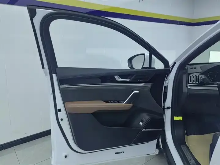 Tang New Energy 2021 DM-i 112KM Honorable Model 7