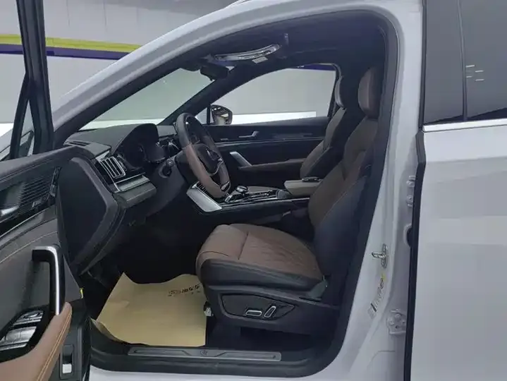 Tang New Energy 2021 DM-i 112KM Honorable Model 9