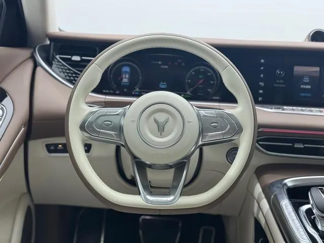 Voyah 2021 FREE four-wheel drive extended range version luxury bag automatic gear 13