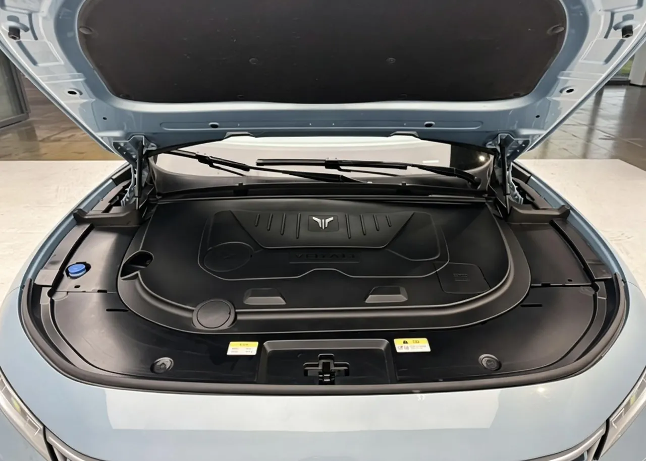 Voyah 2021 FREE four-wheel drive extended range version luxury bag automatic gear 9