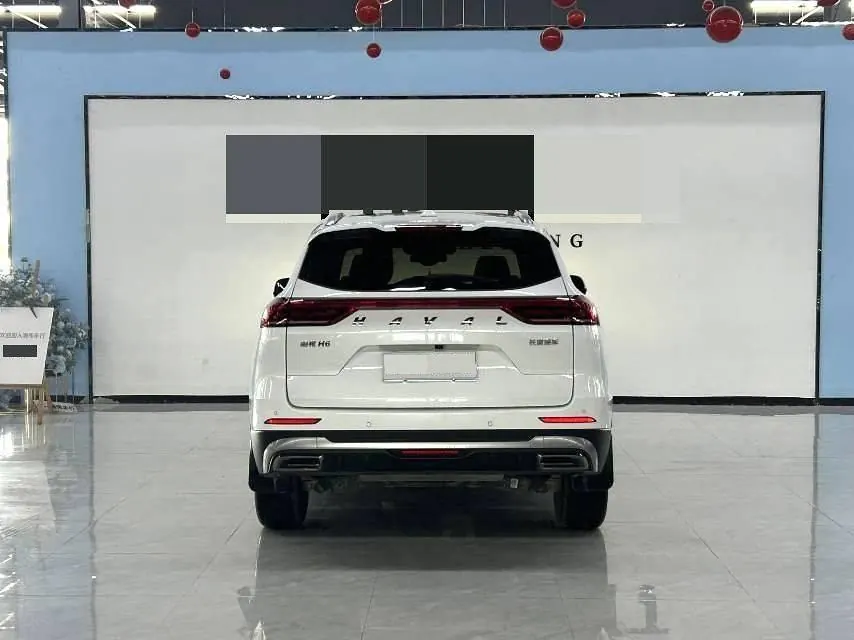 Haval 2021 H6 1.5T National Tide Champion Edition Automatic Gear 5