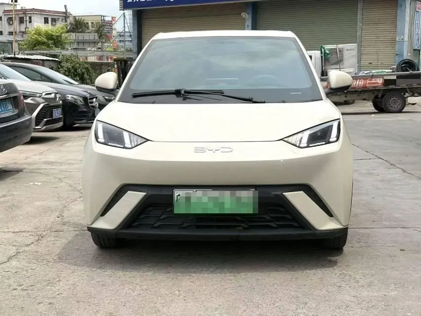 BYD 2023 seagull flying version automatic gear 2