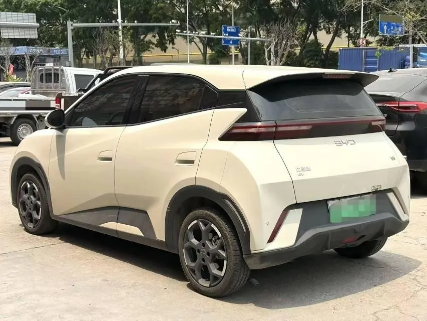 BYD 2023 seagull flying version automatic gear 3