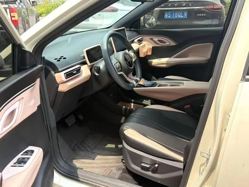BYD 2023 seagull flying version automatic gear 4