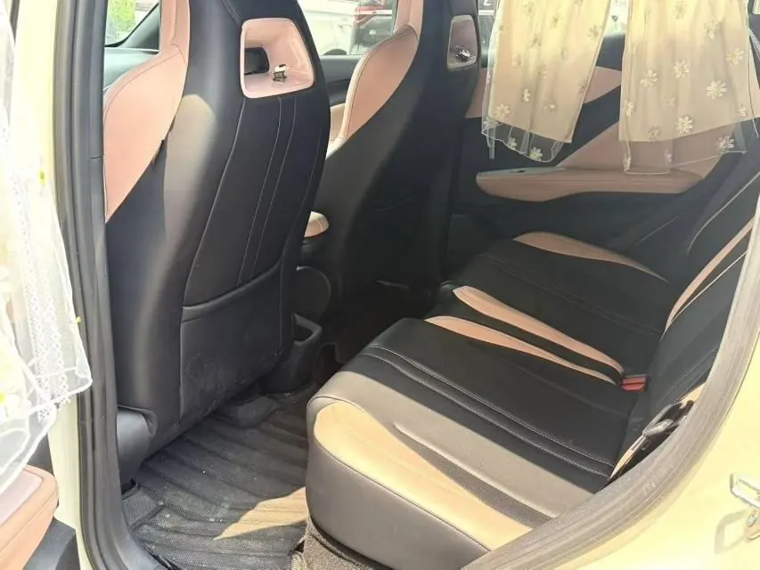 BYD 2023 seagull flying version automatic gear 5