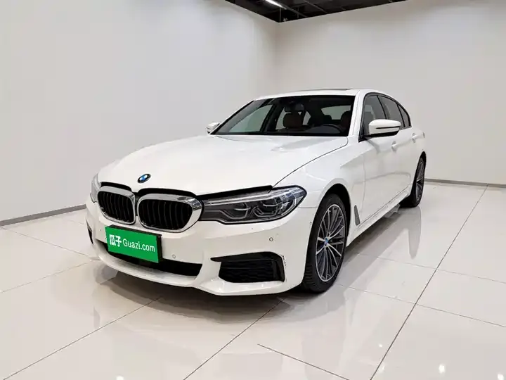BMW 5 Series 2020 530Li Exclusive M Sports Suit - View 1