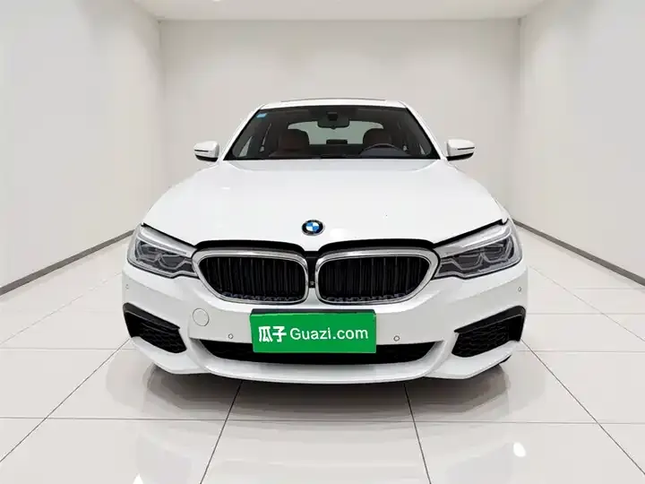 BMW 5 Series 2020 530Li Exclusive M Sports Suit 2