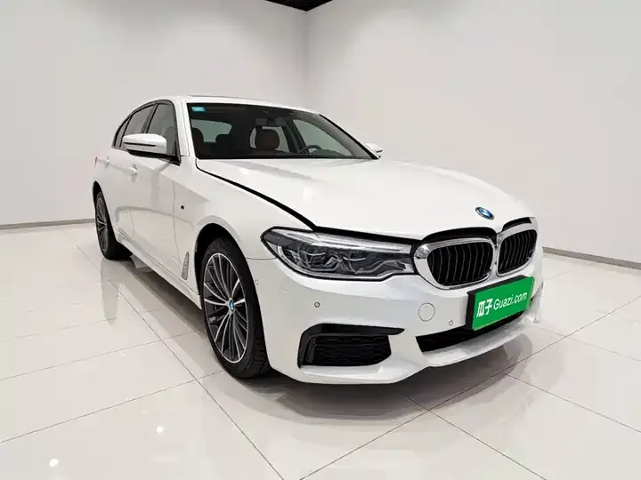 BMW 5 Series 2020 530Li Exclusive M Sports Suit 3