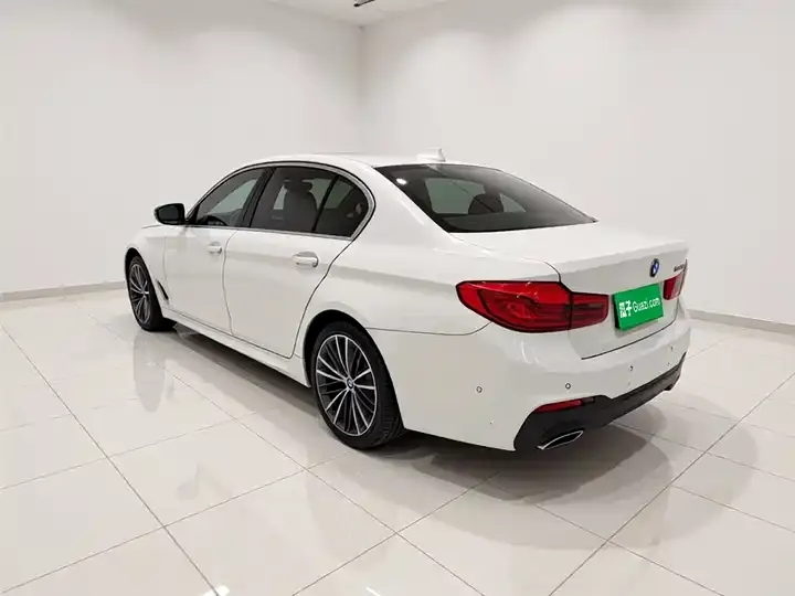 BMW 5 Series 2020 530Li Exclusive M Sports Suit 4