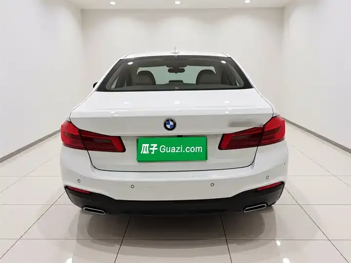 BMW 5 Series 2020 530Li Exclusive M Sports Suit 5