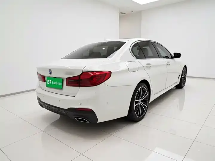 BMW 5 Series 2020 530Li Exclusive M Sports Suit 6