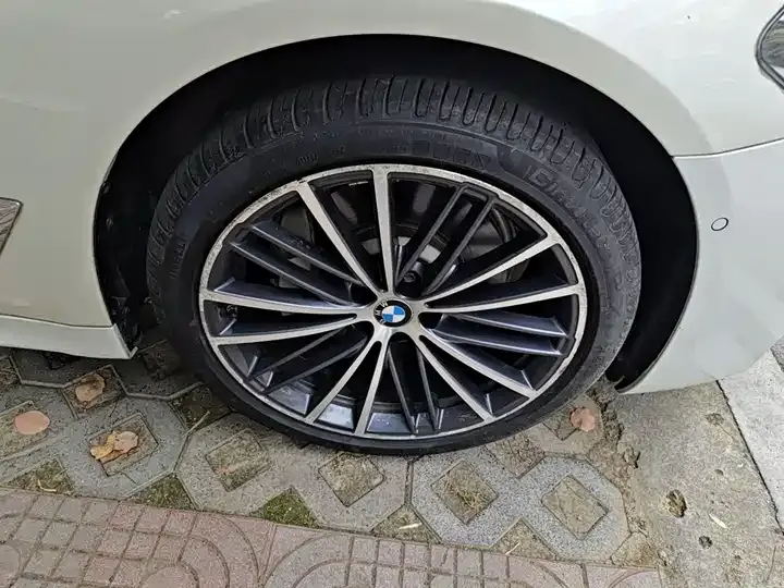 BMW 5 Series 2020 530Li Exclusive M Sports Suit 8