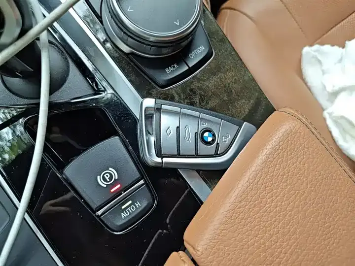 BMW 5 Series 2020 530Li Exclusive M Sports Suit 9