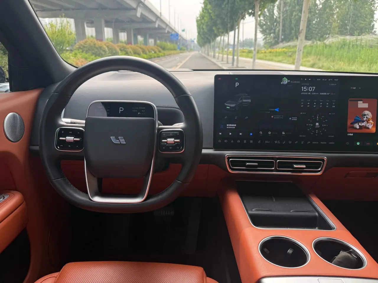 Li 2022 L9 1.5T Max Edition Automatic Gear 9