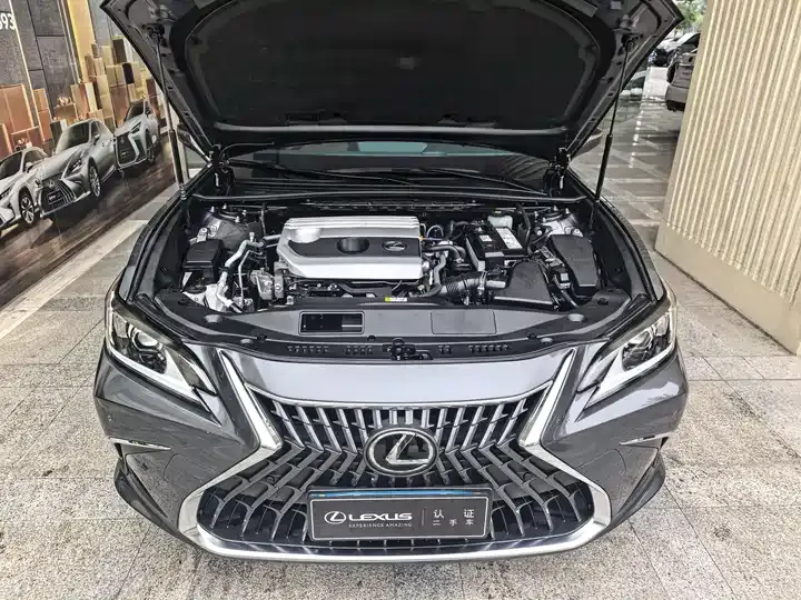 Lexus ES 2021 200 Excellence Edition 6