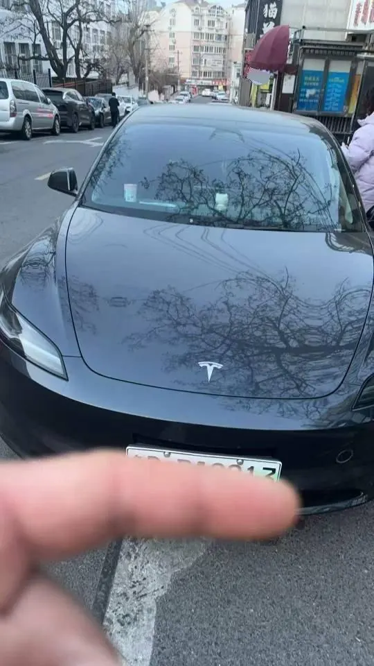Tesla 2023 Model 3 Rejuvenation Edition Rear Wheel Drive Automatic Transmission 2
