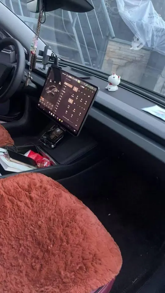 Tesla 2023 Model 3 Rejuvenation Edition Rear Wheel Drive Automatic Transmission 3