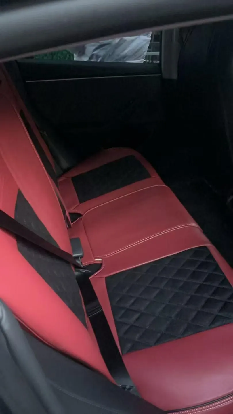 Tesla 2023 Model 3 Rejuvenation Edition Rear Wheel Drive Automatic Transmission 4