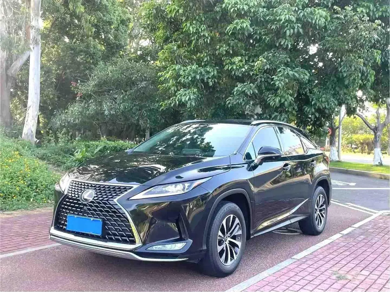Lexus RX (Imported) 2020 RX300 2.0T Two-Drive Elite Automatic Gear - View 1