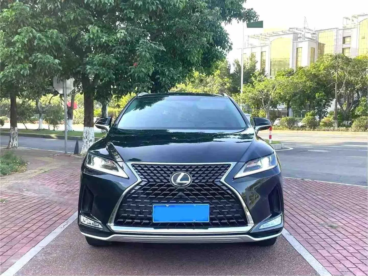 Lexus RX (Imported) 2020 RX300 2.0T Two-Drive Elite Automatic Gear 2