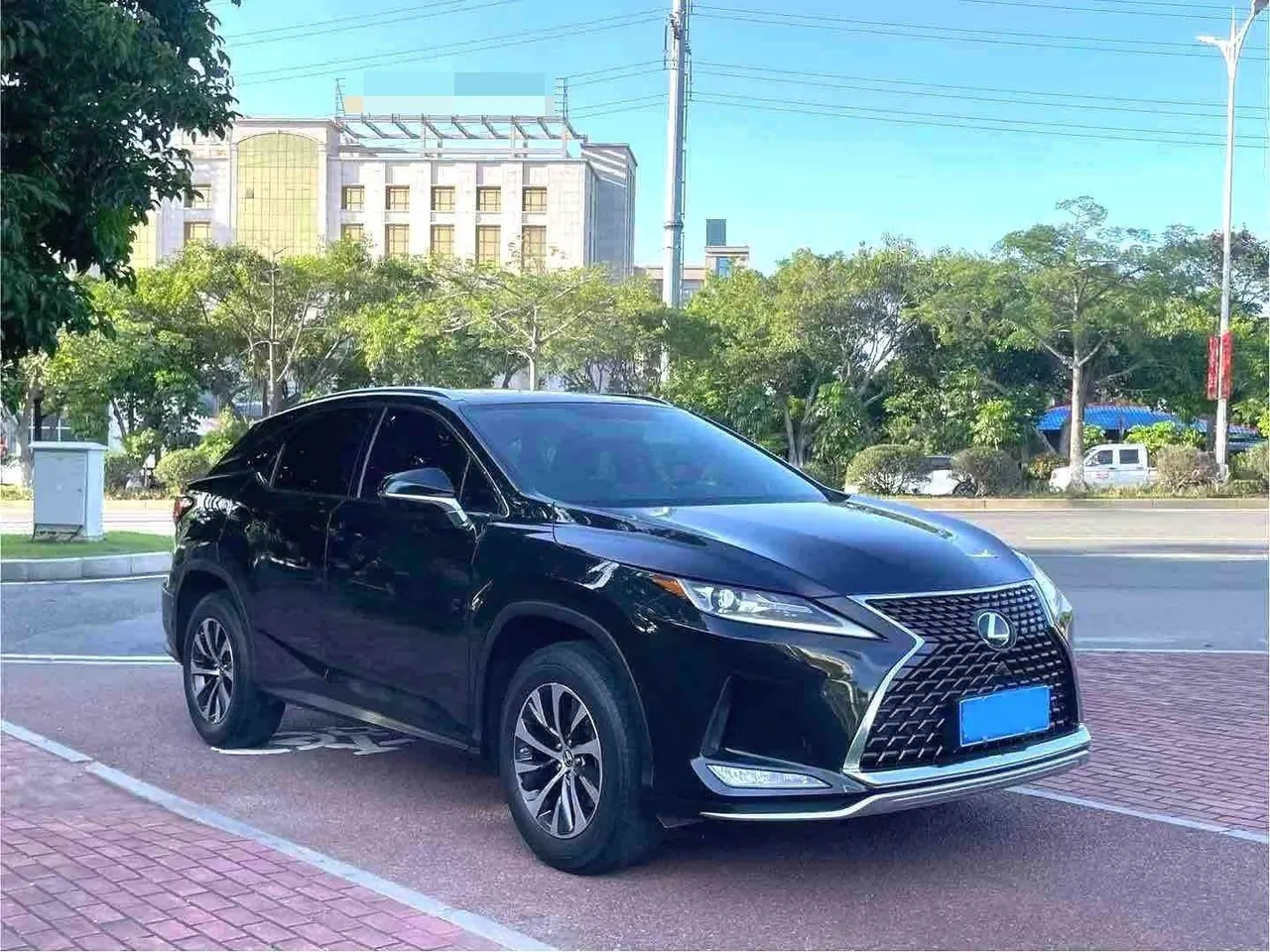 Lexus RX (Imported) 2020 RX300 2.0T Two-Drive Elite Automatic Gear 3