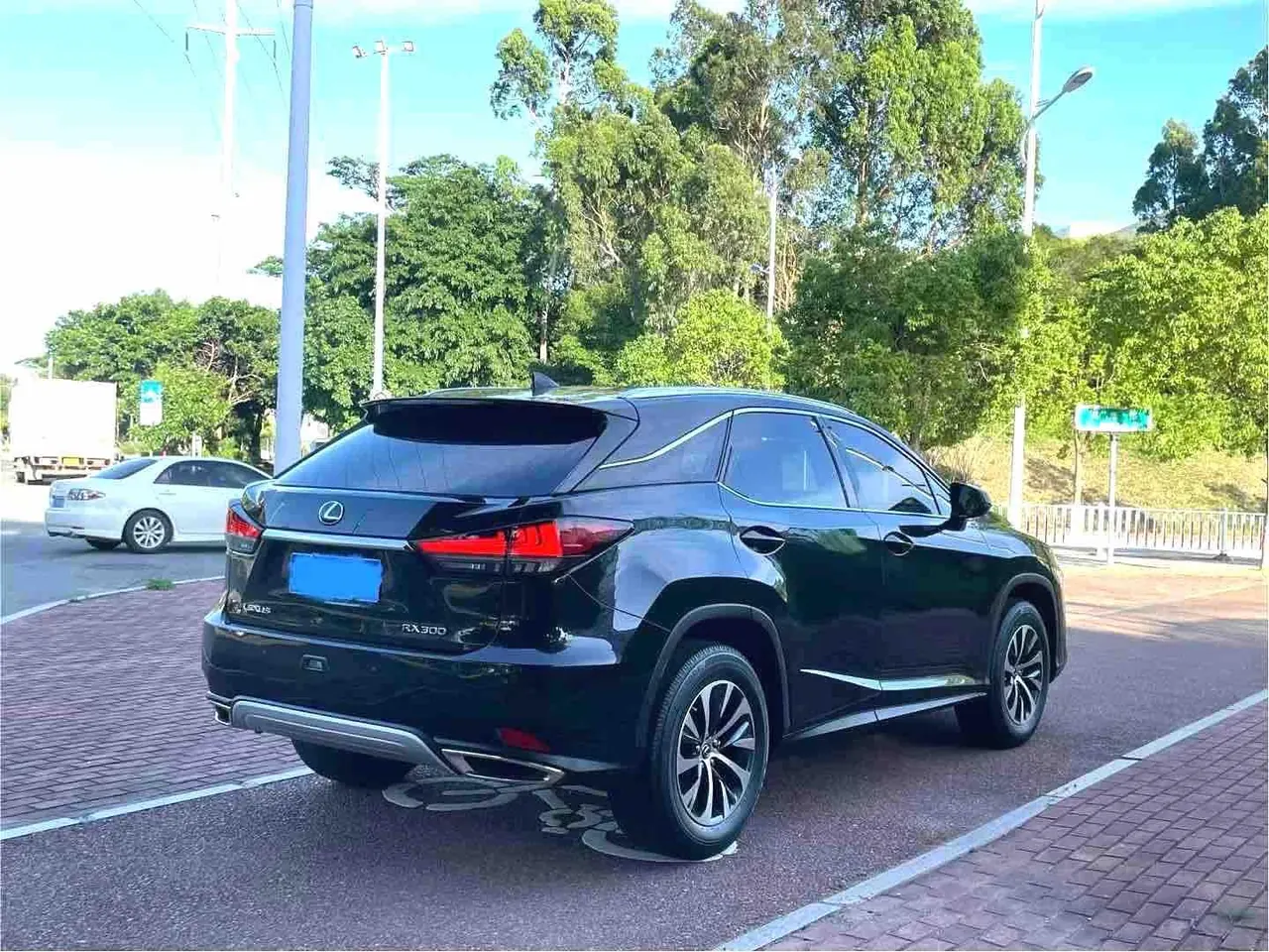 Lexus RX (Imported) 2020 RX300 2.0T Two-Drive Elite Automatic Gear 7