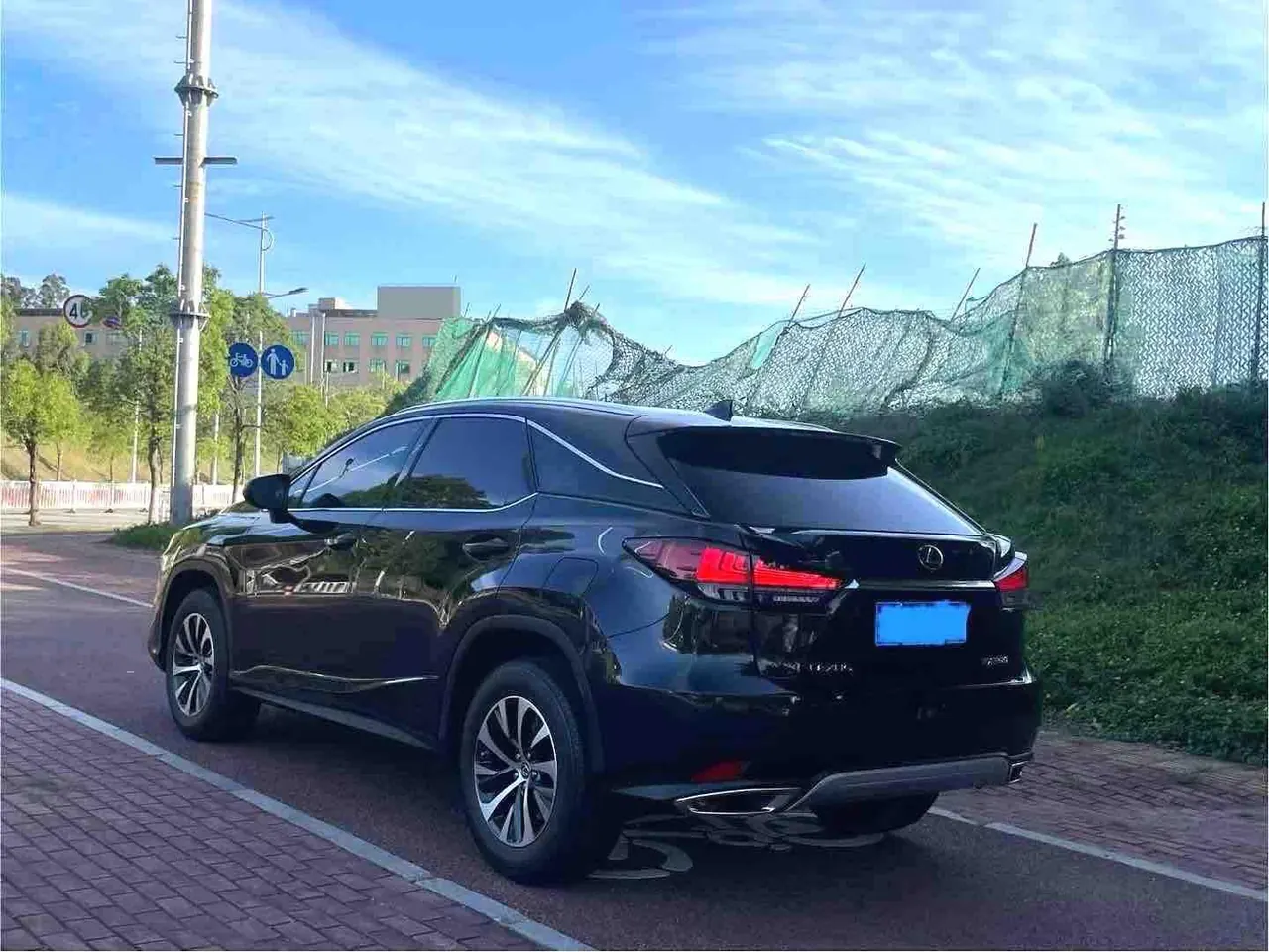 Lexus RX (Imported) 2020 RX300 2.0T Two-Drive Elite Automatic Gear 9