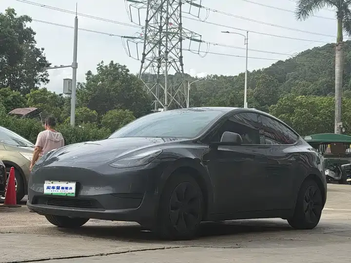 Model Y 2024 rear-wheel drive version - View 1