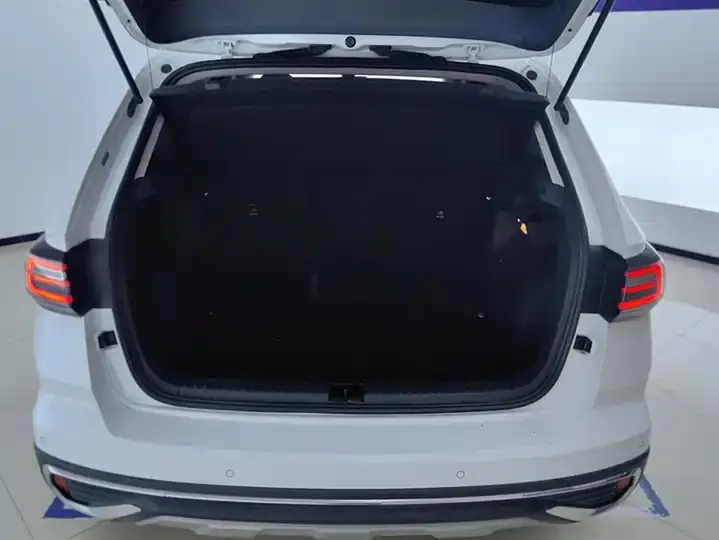Tuyue 2023 300TSI Two-Drive Full Moon Edition 4