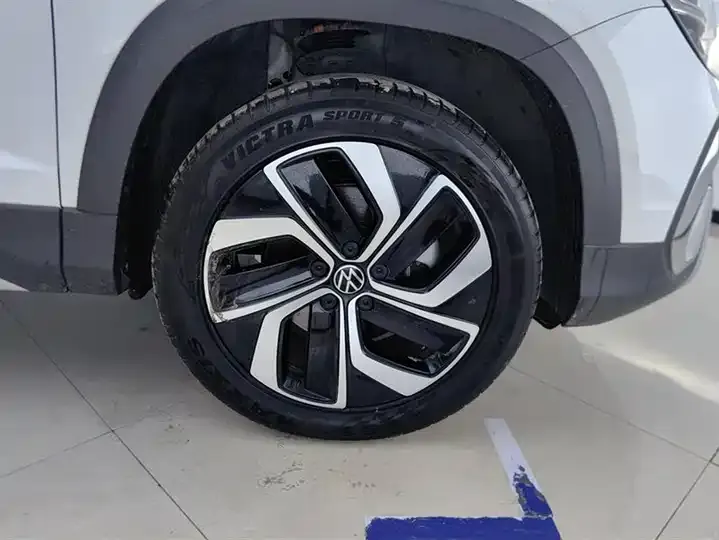Tuyue 2023 300TSI Two-Drive Full Moon Edition 6
