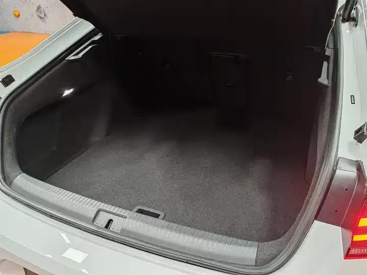 FAW-Volkswagen CC 2020 330TSI Charming Yan Edition Country VI 12