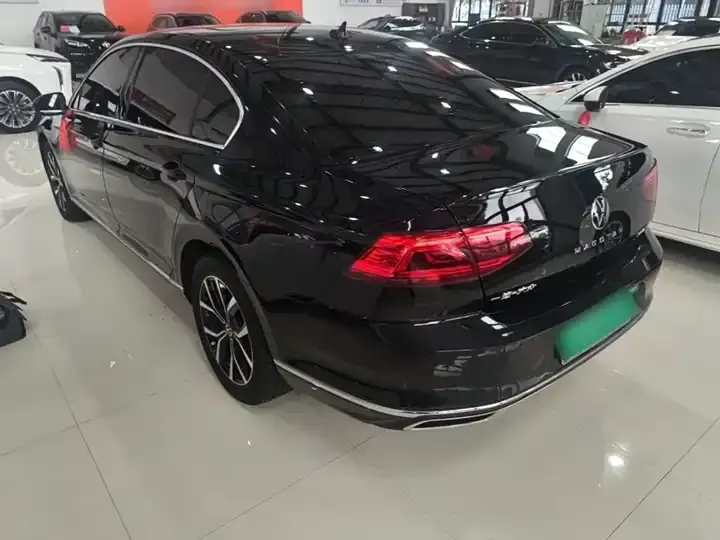 Magotan 2020 330TSI DSG Leading Edition 5