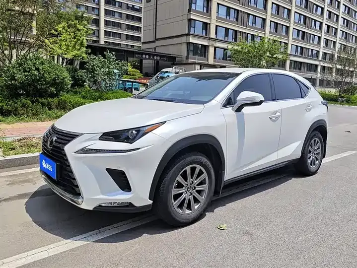 Lexus NX 2020 200 FWD Luxury Edition China VI - View 1