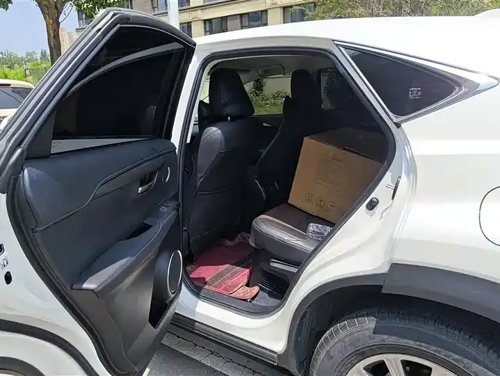 Lexus NX 2020 200 FWD Luxury Edition China VI 11