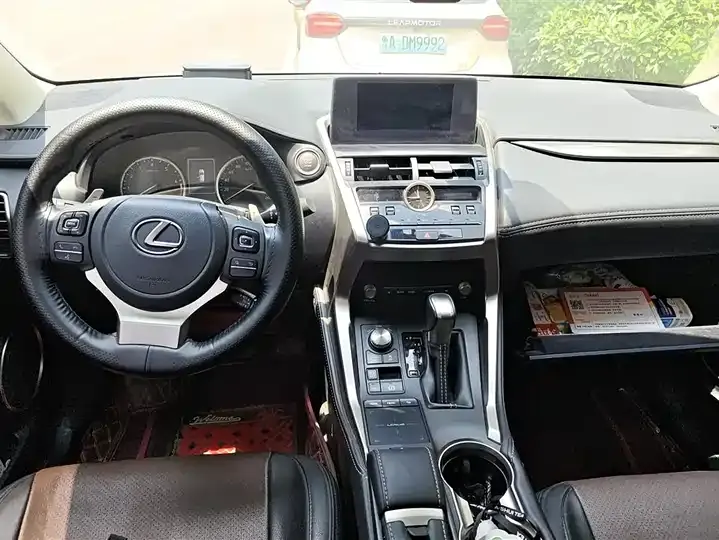 Lexus NX 2020 200 FWD Luxury Edition China VI 12