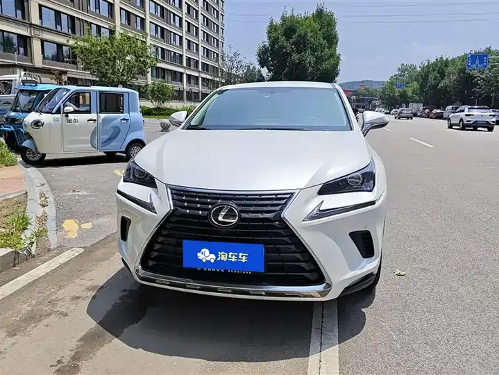 Lexus NX 2020 200 FWD Luxury Edition China VI 2