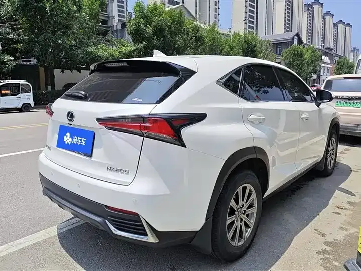 Lexus NX 2020 200 FWD Luxury Edition China VI 3