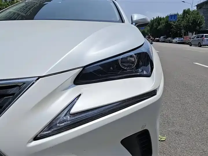 Lexus NX 2020 200 FWD Luxury Edition China VI 5