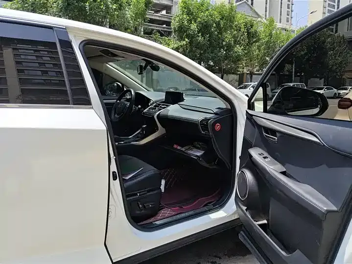 Lexus NX 2020 200 FWD Luxury Edition China VI 8