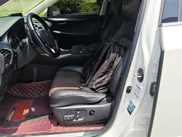 Lexus NX 2020 200 FWD Luxury Edition China VI 9